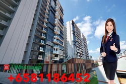 The Poiz Residences (D13), Apartment #192539432